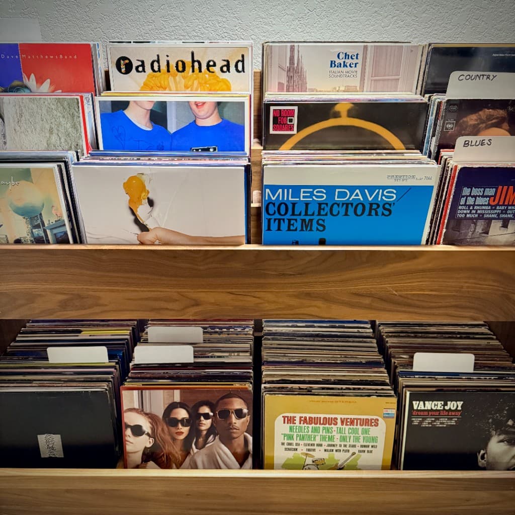 Vinyl record collection on wooden shelves